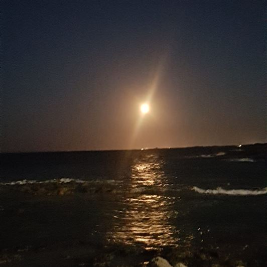 Image No.33-Villa de 6 chambres à vendre à Torre Santa Susanna