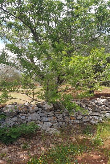 Image No.27-2 Bed Property for sale