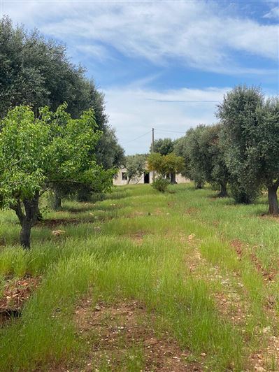 Image No.31-2 Bed Property for sale