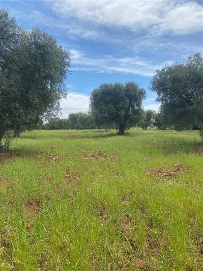 Image No.34-2 Bed Property for sale