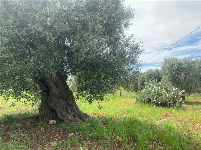 Image No.37-2 Bed Property for sale