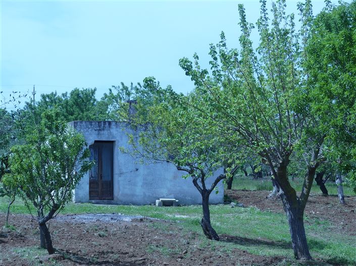 Image No.11-Propriété de 1 chambre à vendre à San Vito dei Normanni