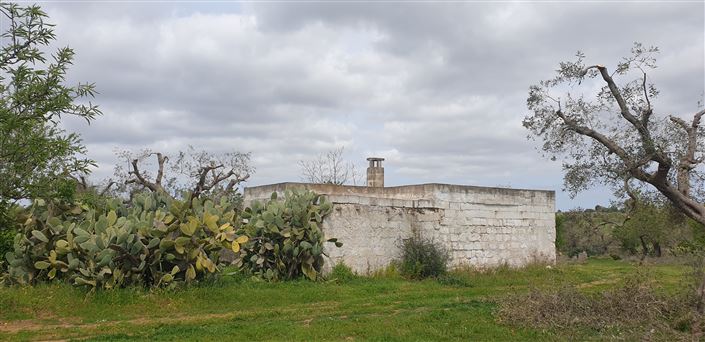 Image No.12-Propriété de 1 chambre à vendre à San Vito dei Normanni