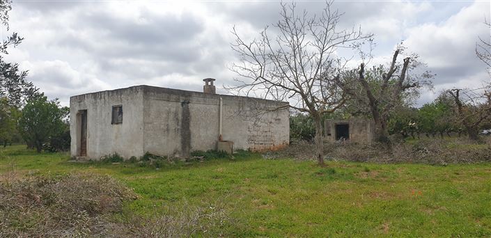 Image No.13-Propriété de 1 chambre à vendre à San Vito dei Normanni
