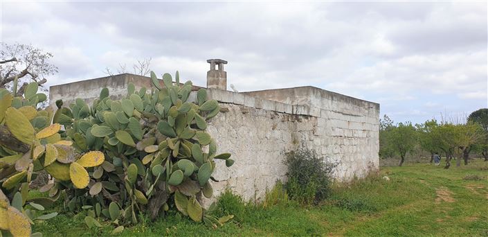 Image No.15-Propriété de 1 chambre à vendre à San Vito dei Normanni