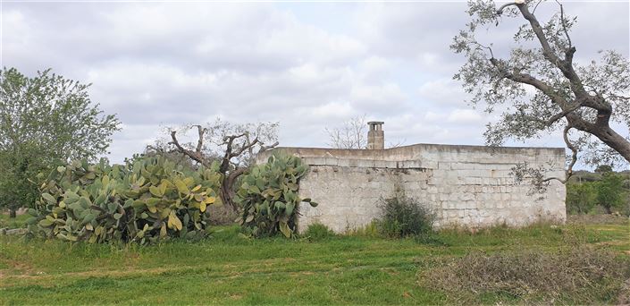 Image No.16-Propriété de 1 chambre à vendre à San Vito dei Normanni