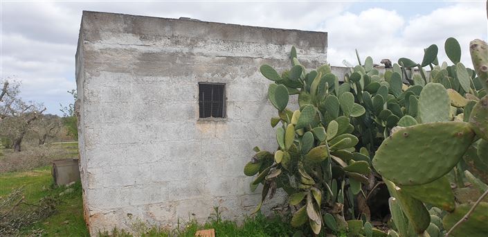 Image No.18-Propriété de 1 chambre à vendre à San Vito dei Normanni