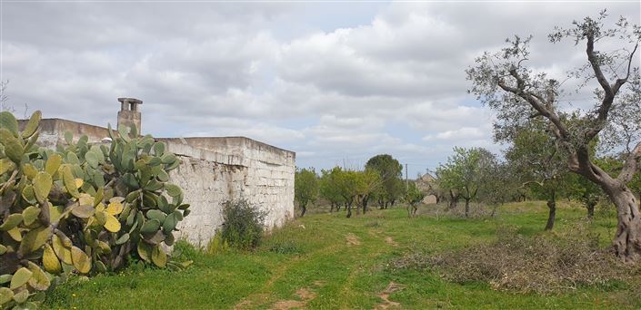 Image No.19-Propriété de 1 chambre à vendre à San Vito dei Normanni