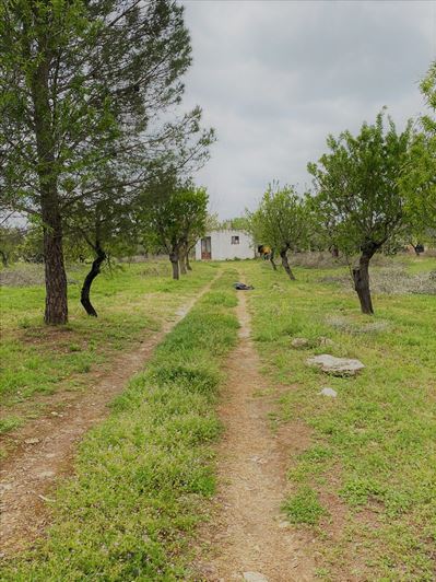 Image No.9-Propriété de 1 chambre à vendre à San Vito dei Normanni