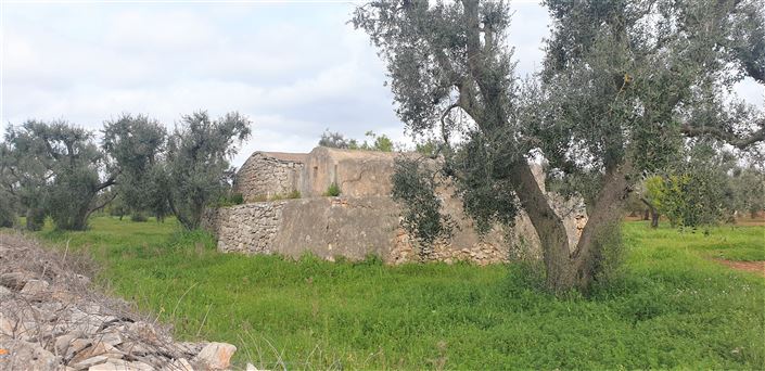 Image No.4-Propriété de 1 chambre à vendre à Latiano