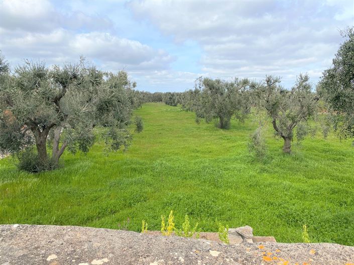 Image No.10-Propriété de 1 chambre à vendre à Latiano
