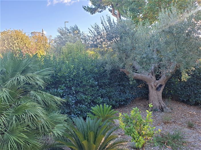 Image No.38-Propriété de 4 chambres à vendre à Fasano