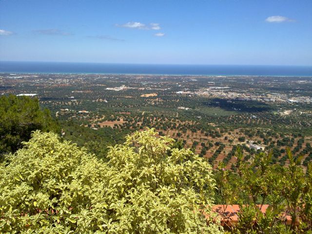 Image No.45-Propriété de 4 chambres à vendre à Fasano