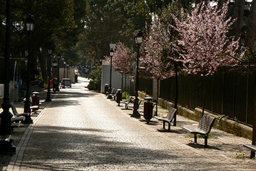 Image No.47-Propriété de 4 chambres à vendre à Fasano