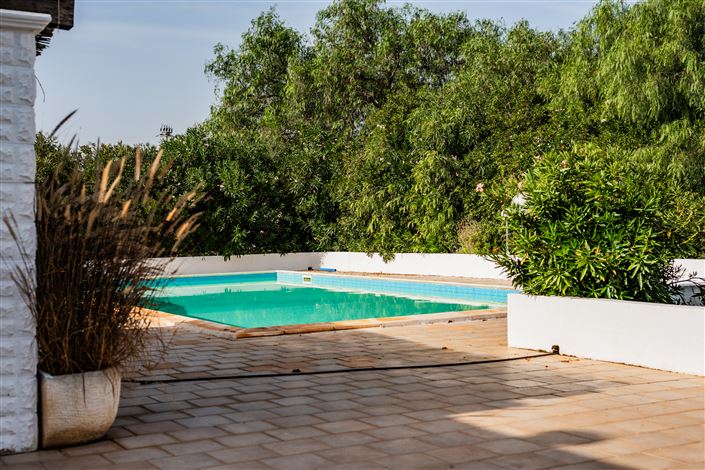 Image No.11-Villa de 4 chambres à vendre à Carovigno