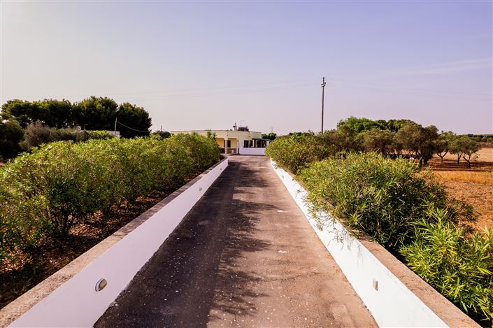 Image No.34-Villa de 4 chambres à vendre à Carovigno