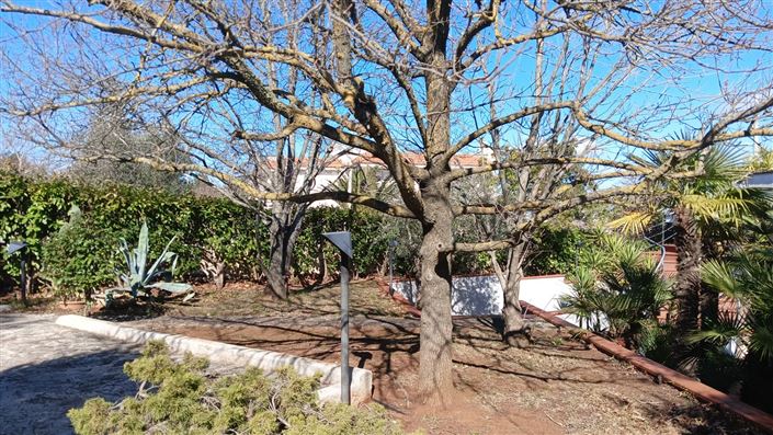 Image No.25-Villa de 3 chambres à vendre à Fasano