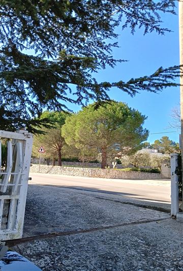 Image No.28-Villa de 3 chambres à vendre à Fasano