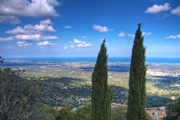 Image No.29-Villa de 3 chambres à vendre à Fasano