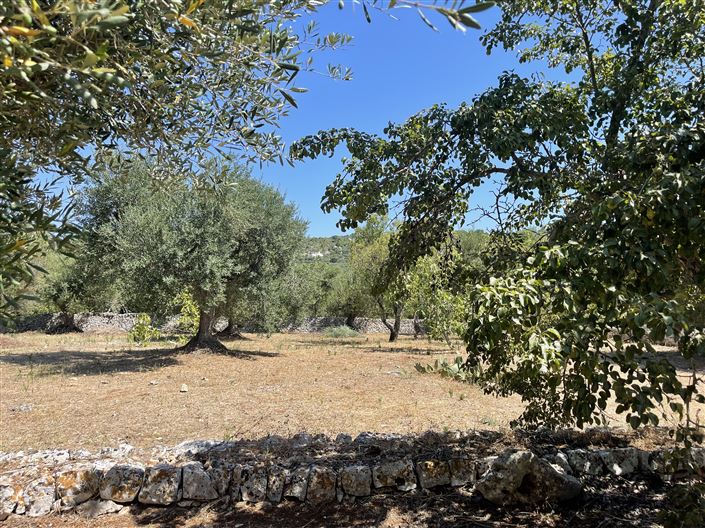 Image No.13-Propriété de 2 chambres à vendre à Ostuni