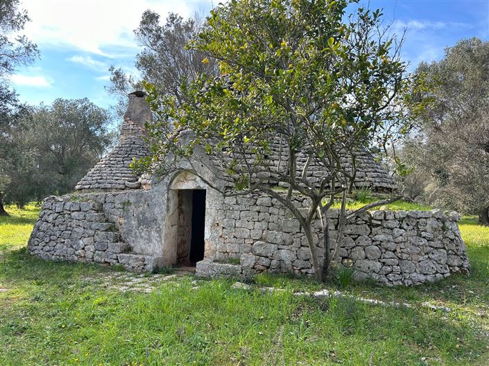 Image No.3-Propriété de 1 chambre à vendre à San Vito dei Normanni