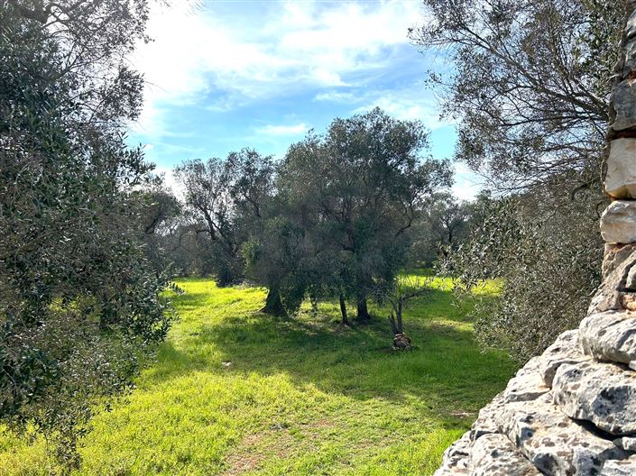 Image No.22-Propriété de 1 chambre à vendre à San Vito dei Normanni