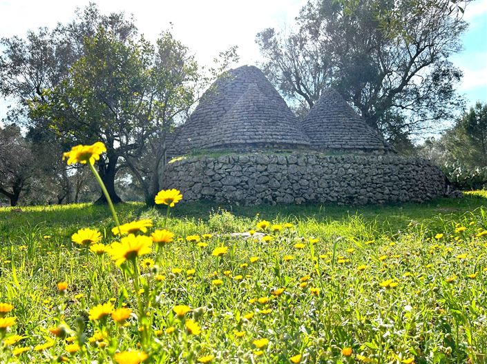 Image No.6-Propriété de 1 chambre à vendre à San Vito dei Normanni