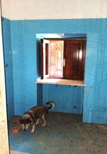 Image No.15-Propriété de 7 chambres à vendre à Locorotondo