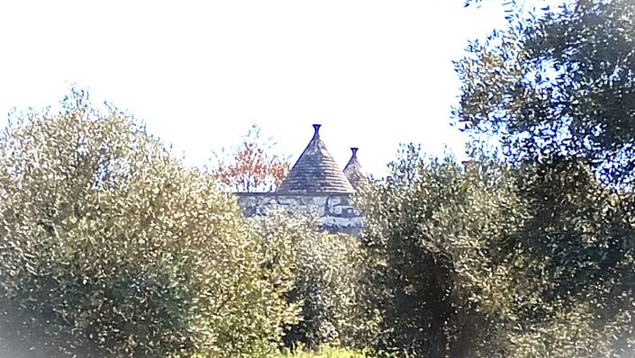 Image No.30-Propriété de 7 chambres à vendre à Locorotondo