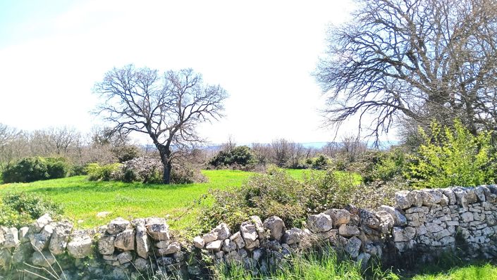 Image No.31-Propriété de 7 chambres à vendre à Locorotondo