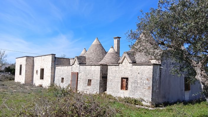 Image No.5-Propriété de 7 chambres à vendre à Locorotondo