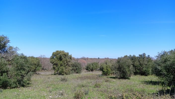 Image No.33-Propriété de 7 chambres à vendre à Locorotondo