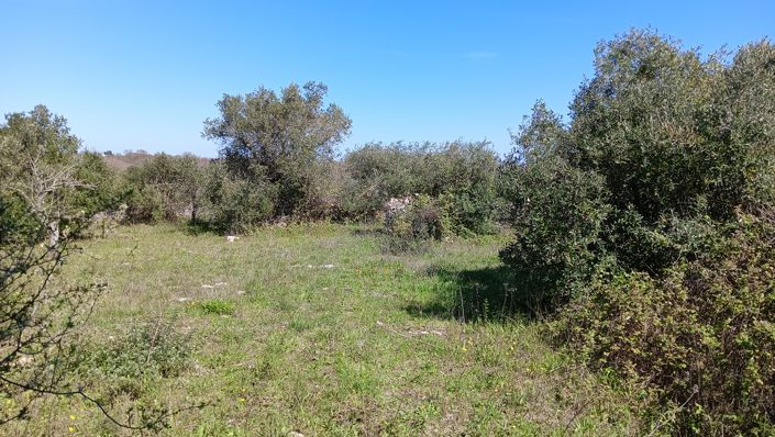 Image No.35-Propriété de 7 chambres à vendre à Locorotondo