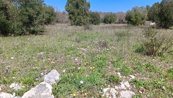 Image No.36-Propriété de 7 chambres à vendre à Locorotondo