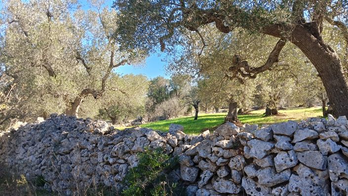 Image No.31-2 Bed Property for sale