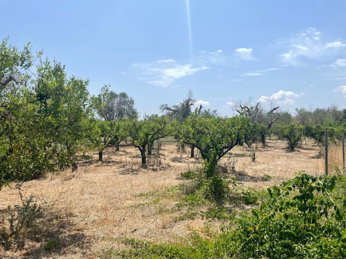 Image No.10-Propriété de 2 chambres à vendre à Oria