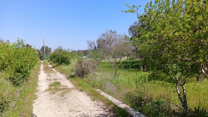 Image No.21-Propriété de 2 chambres à vendre à Oria