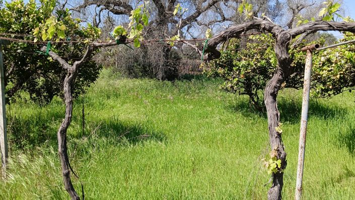 Image No.22-Propriété de 2 chambres à vendre à Oria
