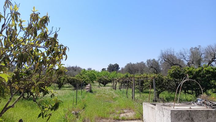 Image No.9-Propriété de 2 chambres à vendre à Oria