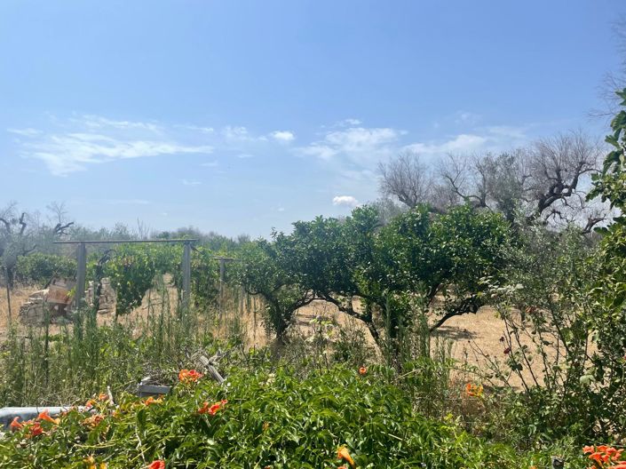 Image No.8-Propriété de 2 chambres à vendre à Oria