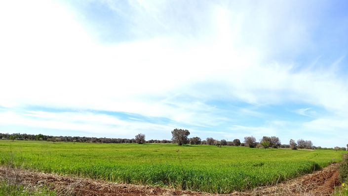 Image No.22-Propriété de 1 chambre à vendre à San Vito dei Normanni