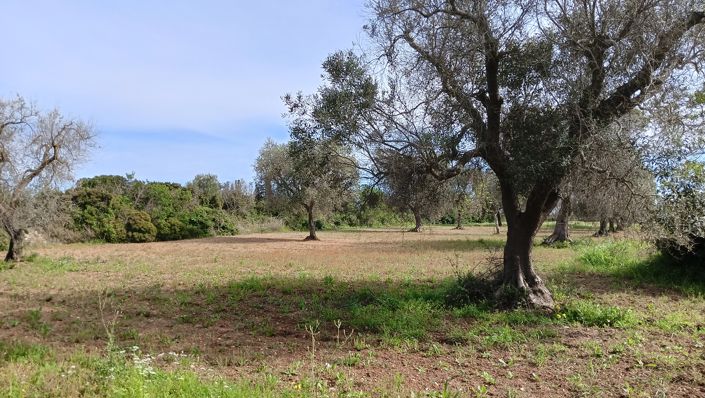 Image No.28-Propriété de 1 chambre à vendre à San Vito dei Normanni