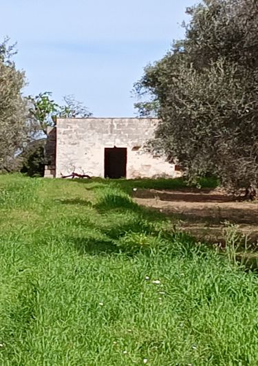 Image No.8-Propriété de 1 chambre à vendre à San Vito dei Normanni