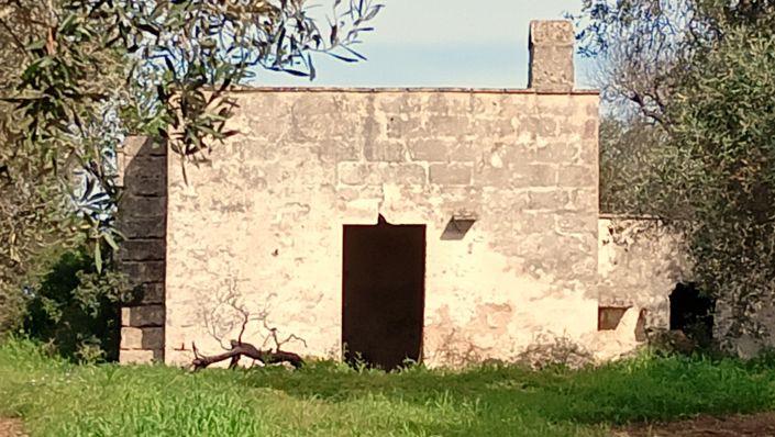 Image No.9-Propriété de 1 chambre à vendre à San Vito dei Normanni