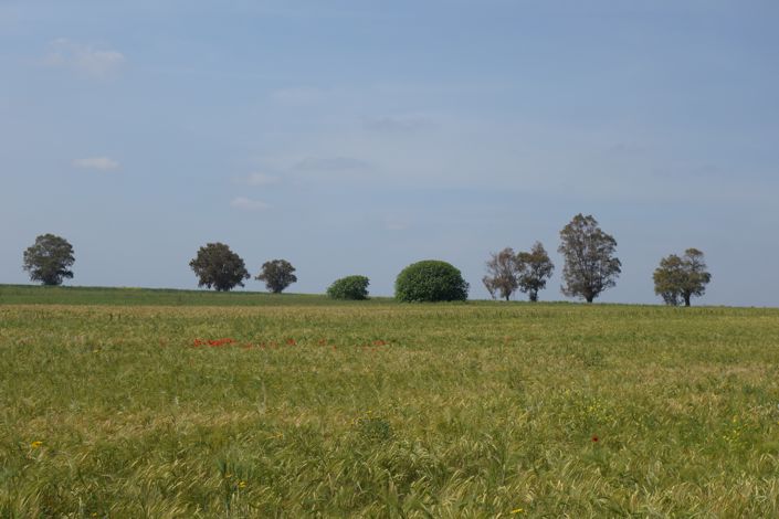 Image No.46-Propriété de 1 chambre à vendre à San Vito dei Normanni