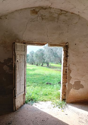 Image No.10-Propriété de 1 chambre à vendre à San Vito dei Normanni