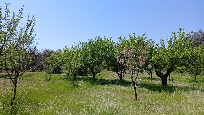 Image No.17-Propriété de 1 chambre à vendre à San Vito dei Normanni