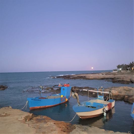 Image No.33-Propriété de 1 chambre à vendre à San Vito dei Normanni