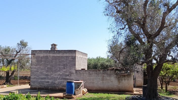 Image No.8-Propriété de 1 chambre à vendre à San Vito dei Normanni