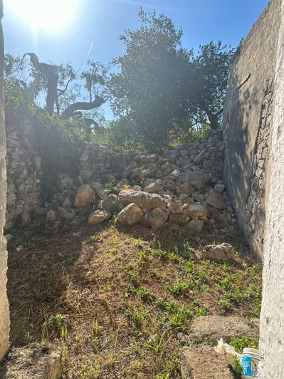 Image No.14-Propriété de 2 chambres à vendre à Ceglie Messapica